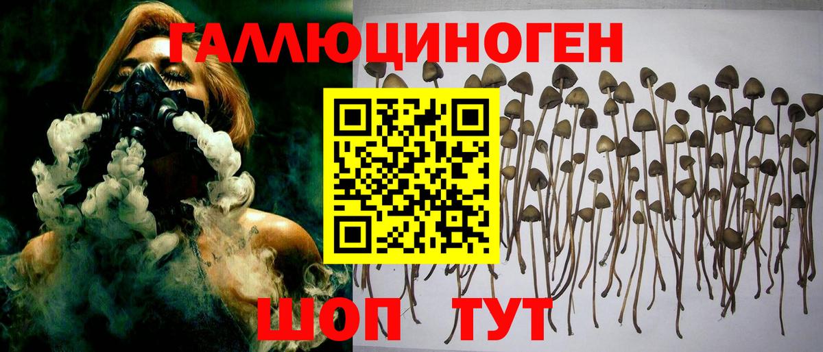Галлюциногенные грибы мухоморы Дюртюли