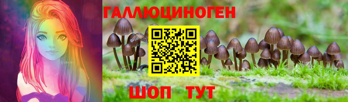 Псилоцибиновые грибы прущие грибы  Вход с VPN  Дюртюли 